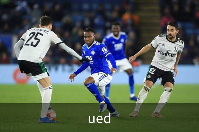 ued公司介绍